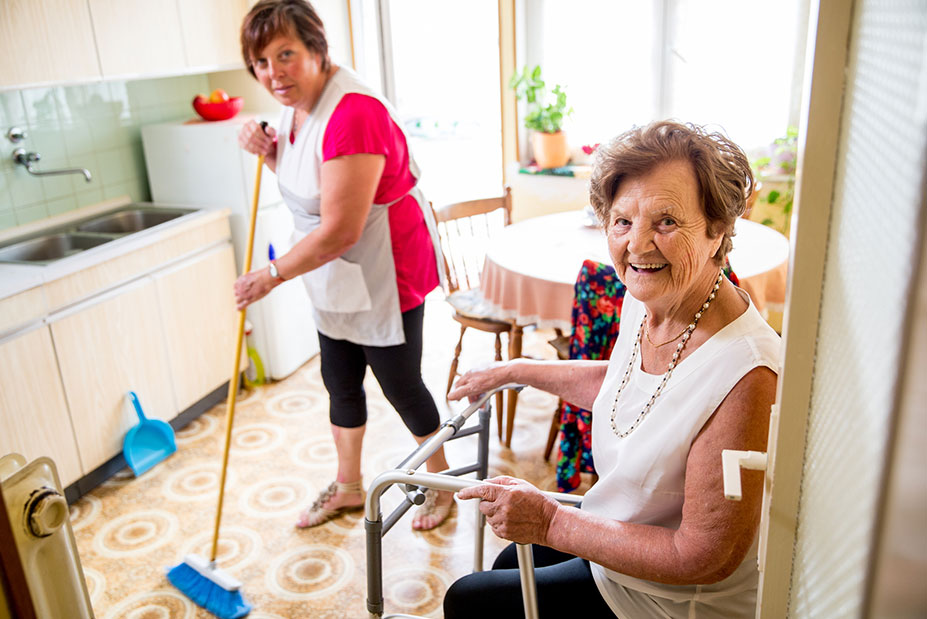 Light Cleaning & Housework in Houston